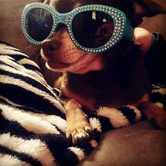 Meet your Posher, - Picture 1 of 1